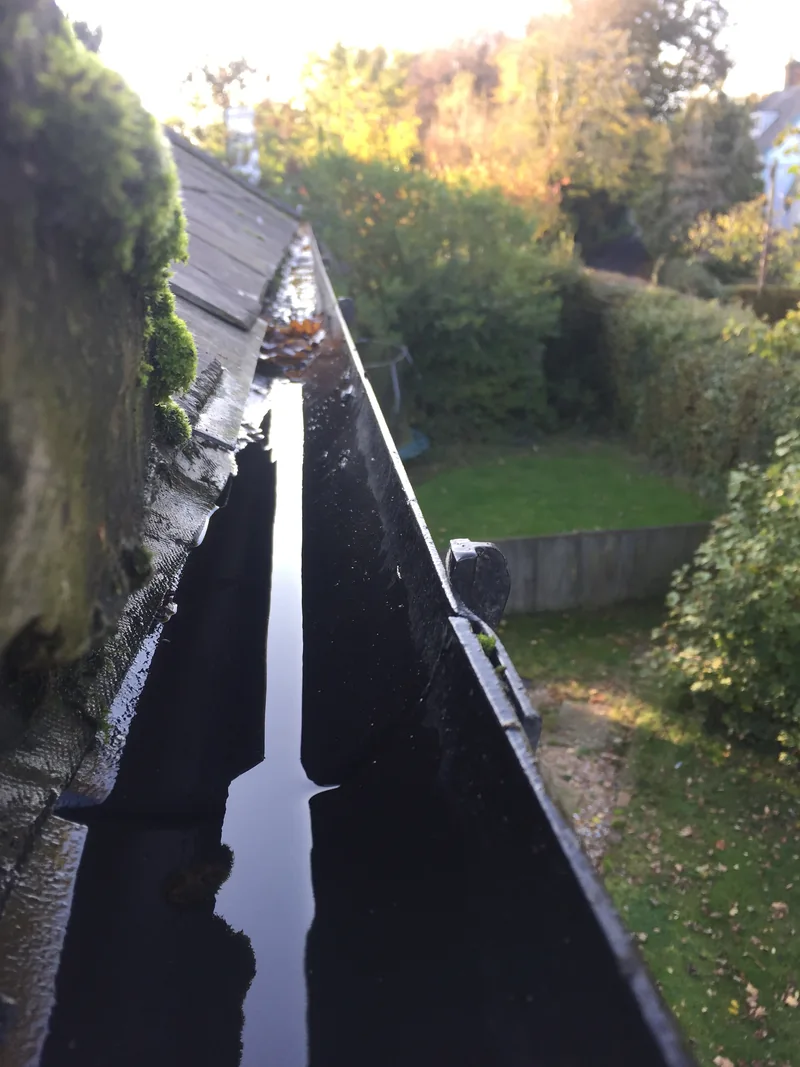 Standing water reflecting trees in a black gutter beneath roof tiles