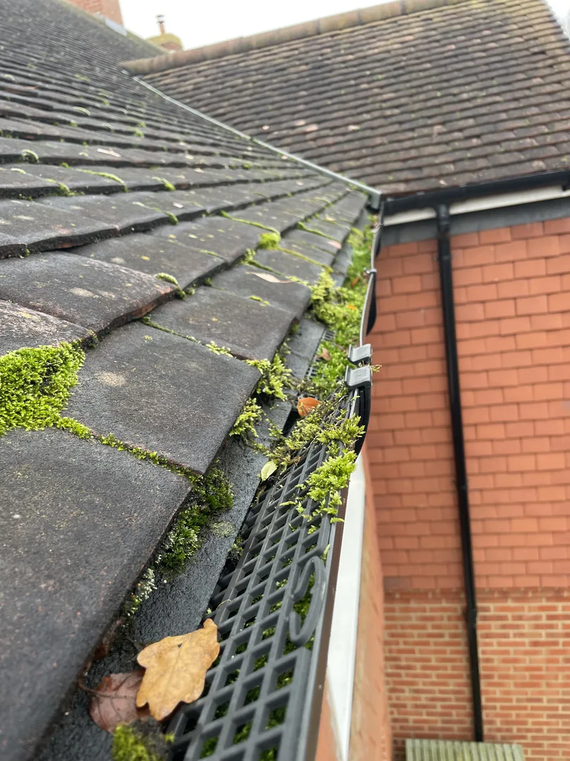 Plastic grid gutter guard with leaves, moss and plant growth around its openings