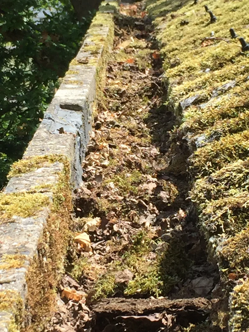 Leaves, moss and debris accumulated in a long roof drainage channel beside a tiled roof