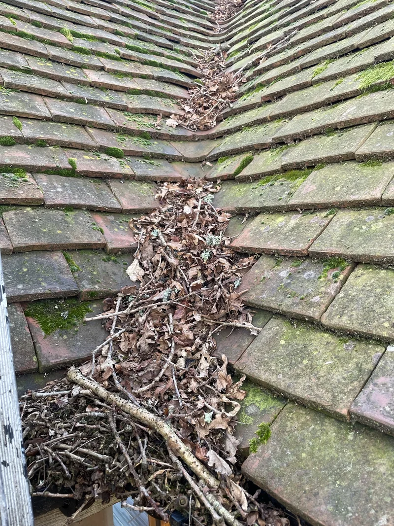 A tiled roof valley with a substantial accumulation of leaves and twigs
