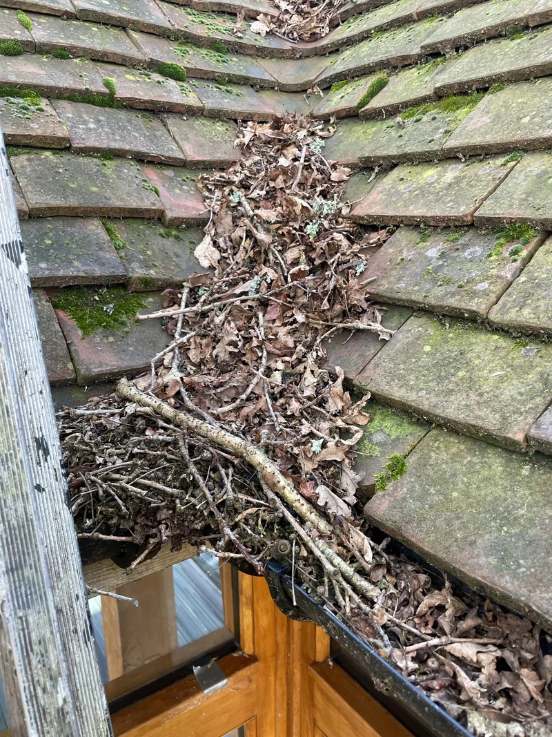 Leaves and twigs forming a dense debris dam at the foot of a tiled roof valley